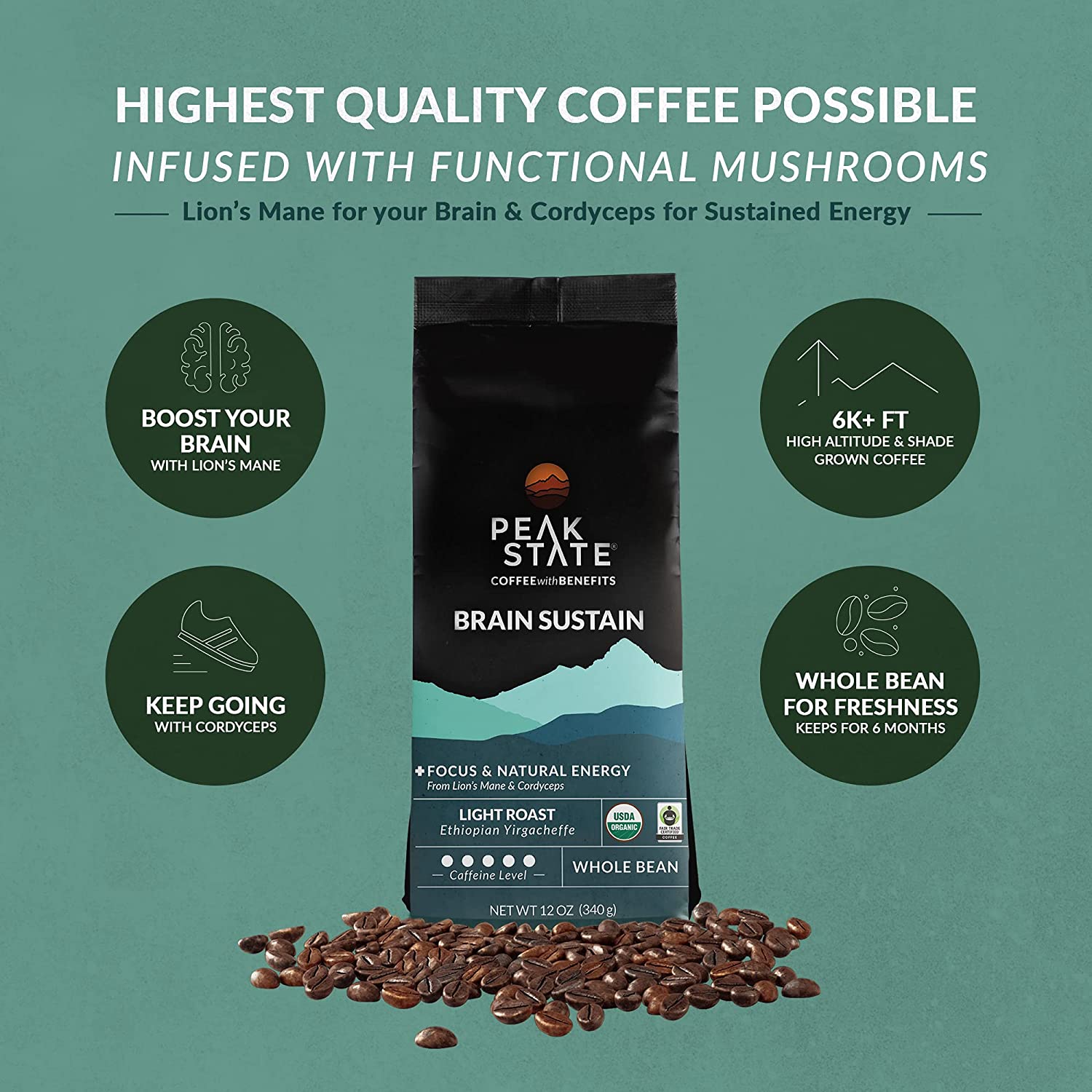 Brain Sustain - Light Roast - 5lb Whole Bean