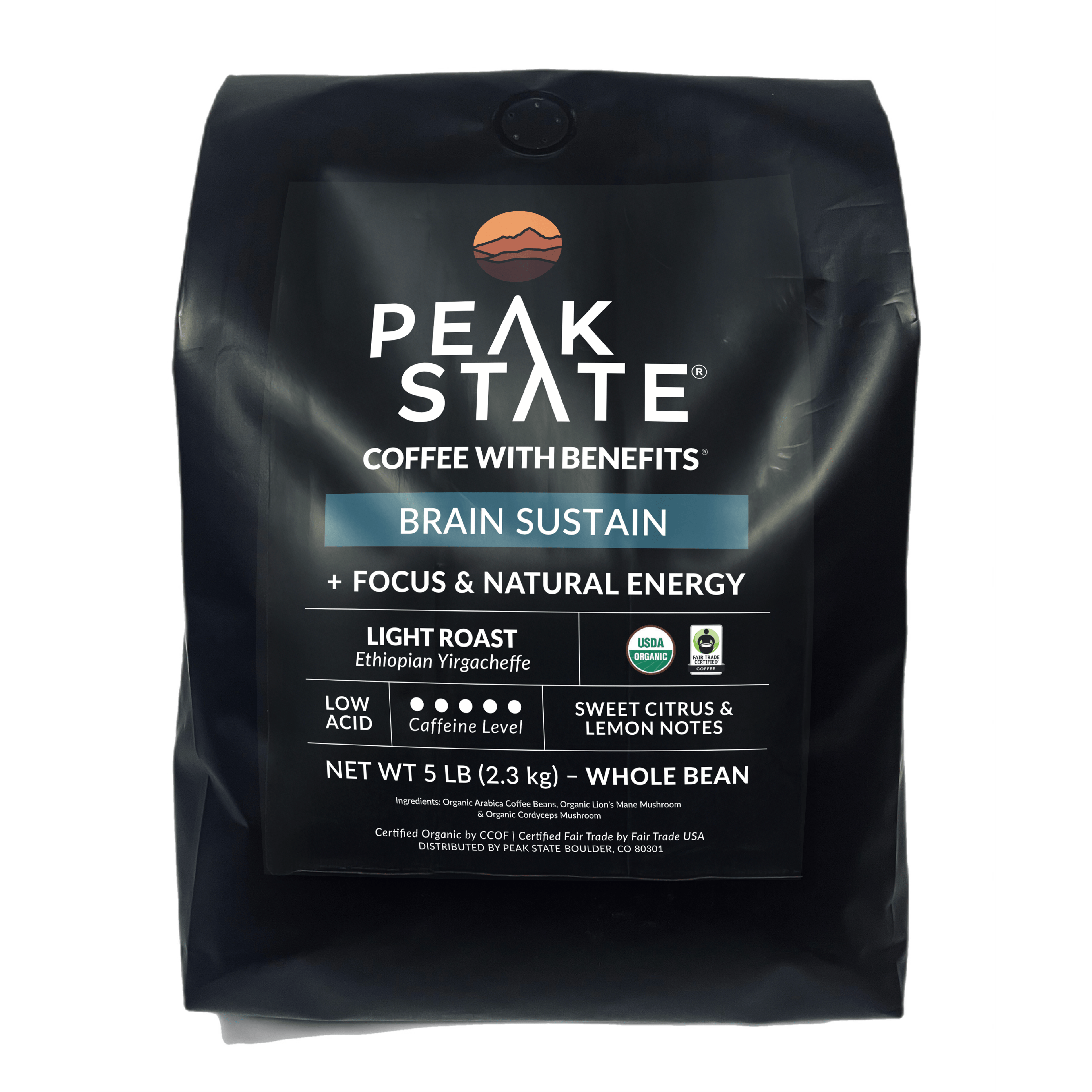Brain Sustain - Light Roast - 5lb Whole Bean